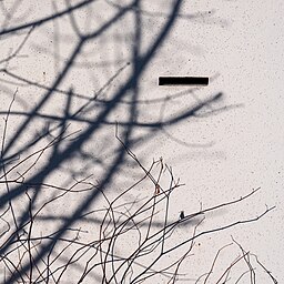 Mauergleichnis
