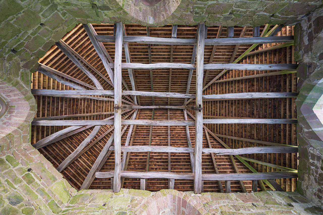 Holy rafters